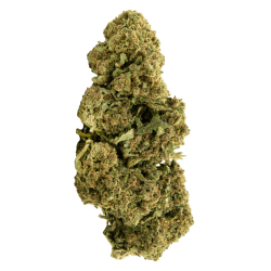 Amnesia — fleur CBD Thi'Apéro, livraison Thionville
