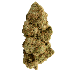 Blueberry — fleur CBD Thi'Apéro, livraison Thionville
