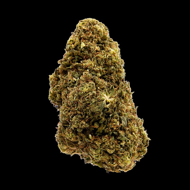 Tropical Haze — fleur CBD Thi'Apéro, livraison Thionville