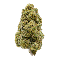 Cream Kush — fleur CBD Thi'Apéro, livraison Thionville