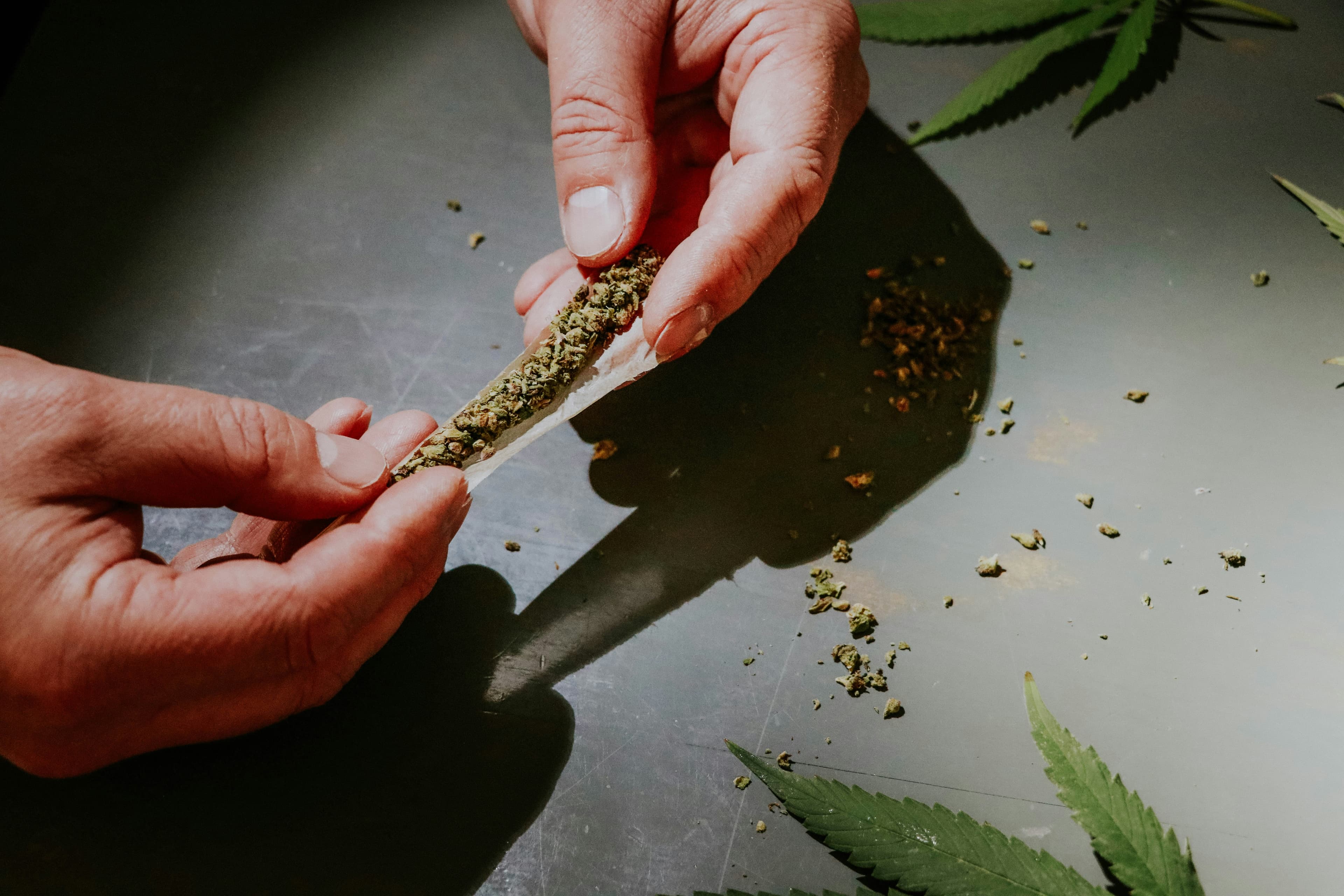 Fleur ou résine CBD : quelle différence et comment choisir ?